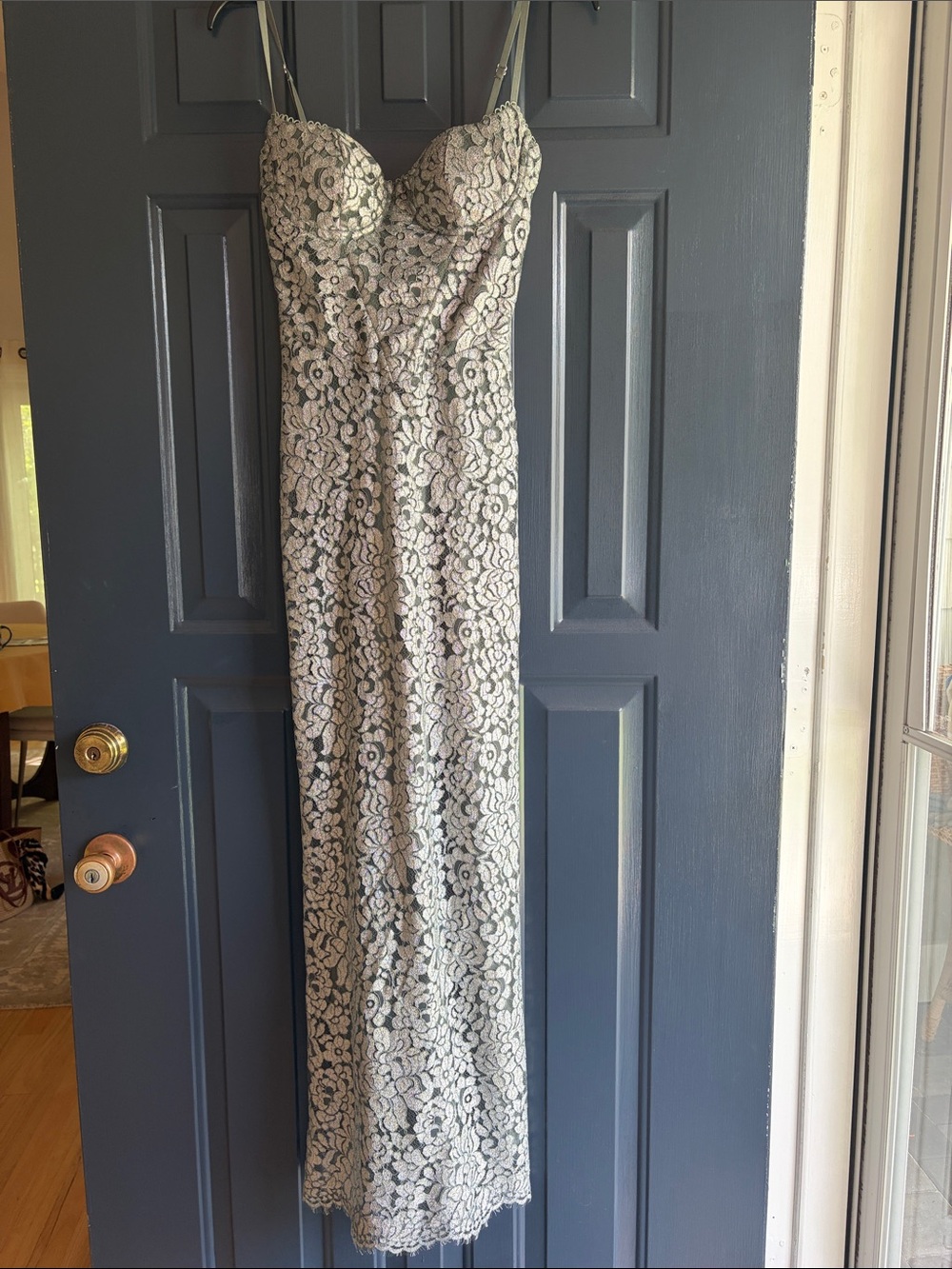 Lace Overlay gown